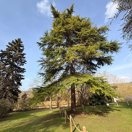 Campo de lujo Le Dome En Seine, Proche Giverny Moisson